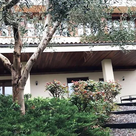 La Cubillana * Colunga