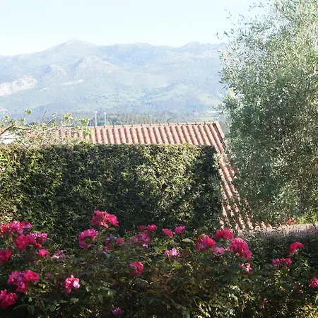 La Cubillana * Colunga