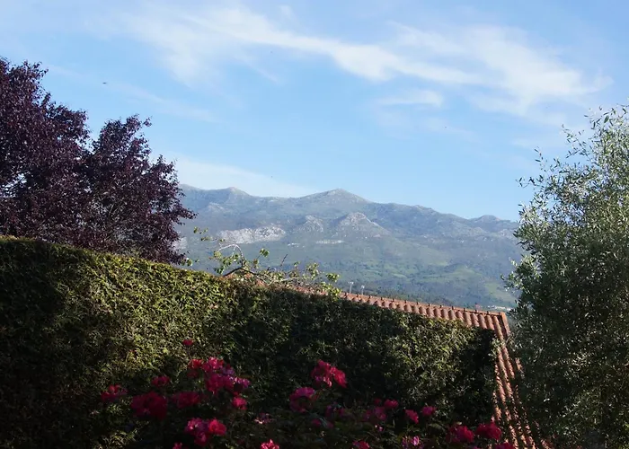 La Cubillana Colunga