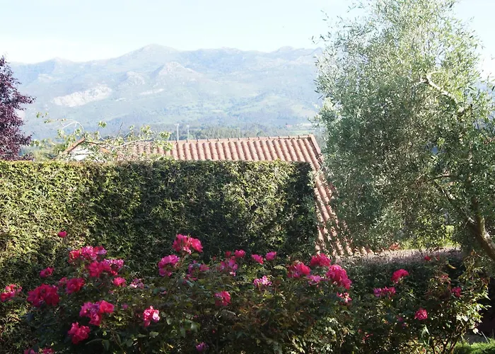 La Cubillana * Colunga